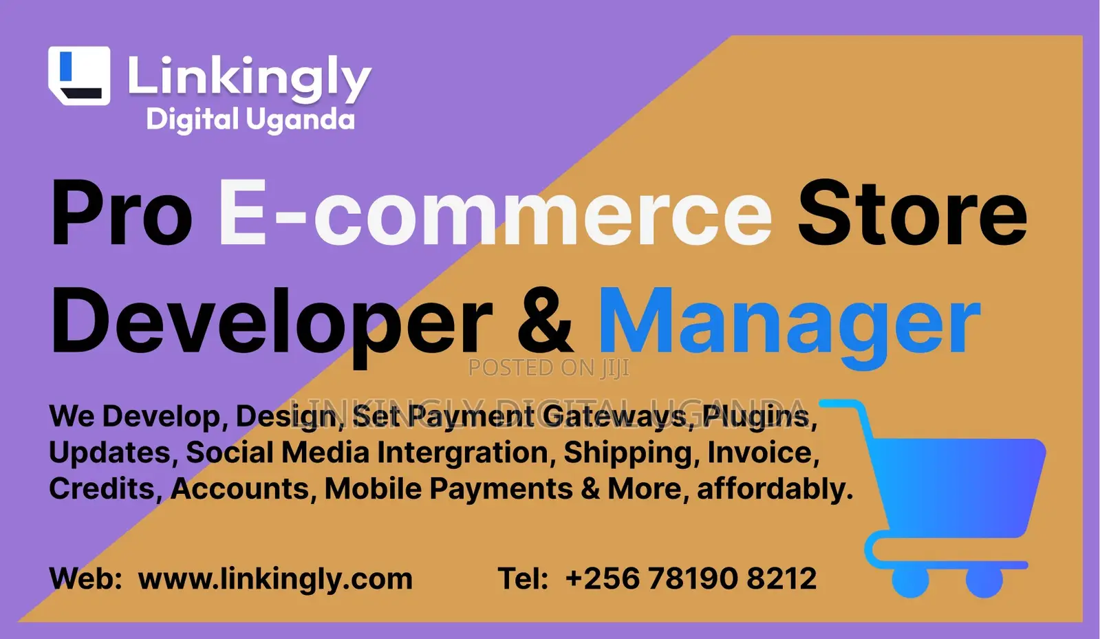 E-Commerce Store Designer Pro, Solutions and Management