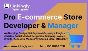 E-Commerce Store Designer Pro, Solutions and Management