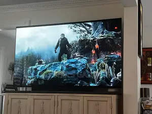 Lg 55 Inch Smart Oled C3 Evo Brand New Lg High End Tv