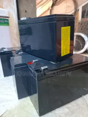 Electric Fence Energizer Batteries