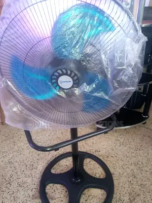 Longan Stand Fan