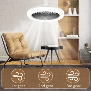 Silent Ceiling Fan With Light