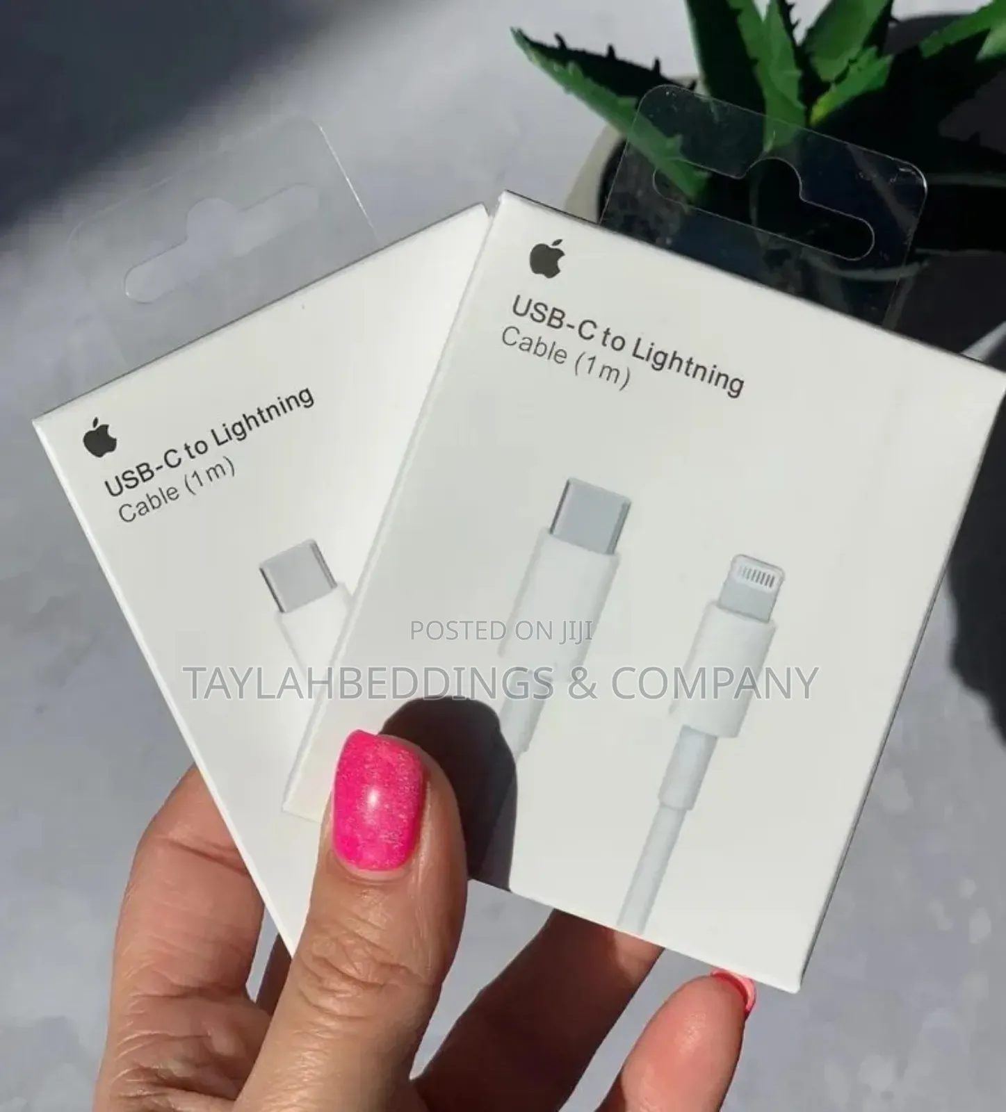 Apple Charging Cable Type C to Lighting