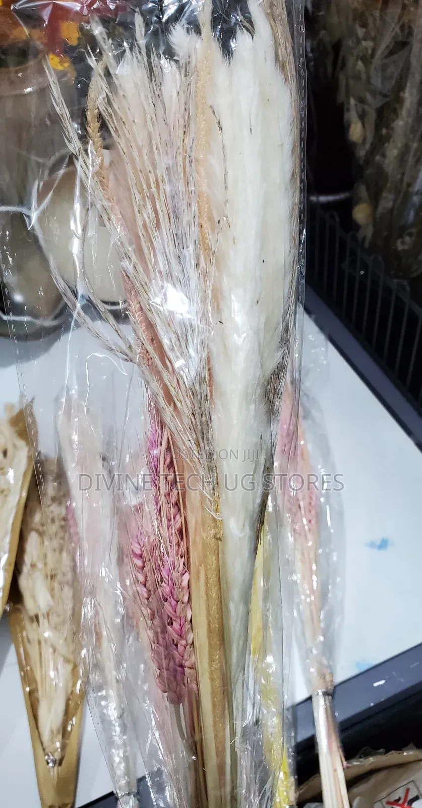 Fluffy Pampas Grass Decor ,Stunning Decoration- Abatch