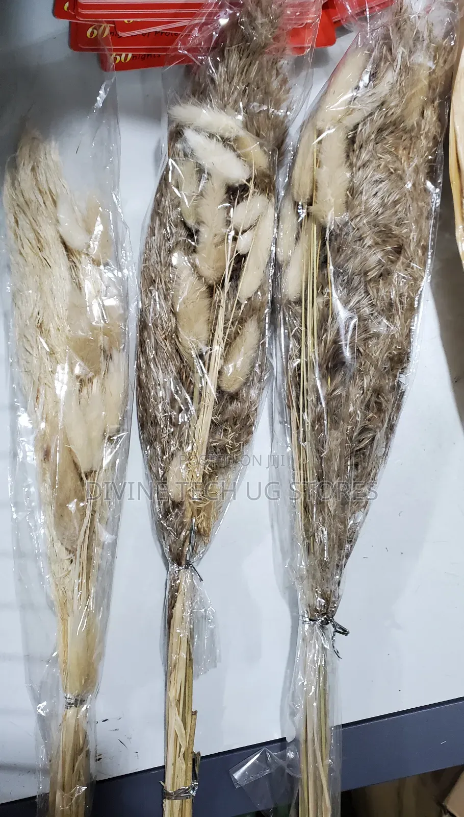 Fluffy Pampas Grass Decor ,Stunning Decoration- Abatch