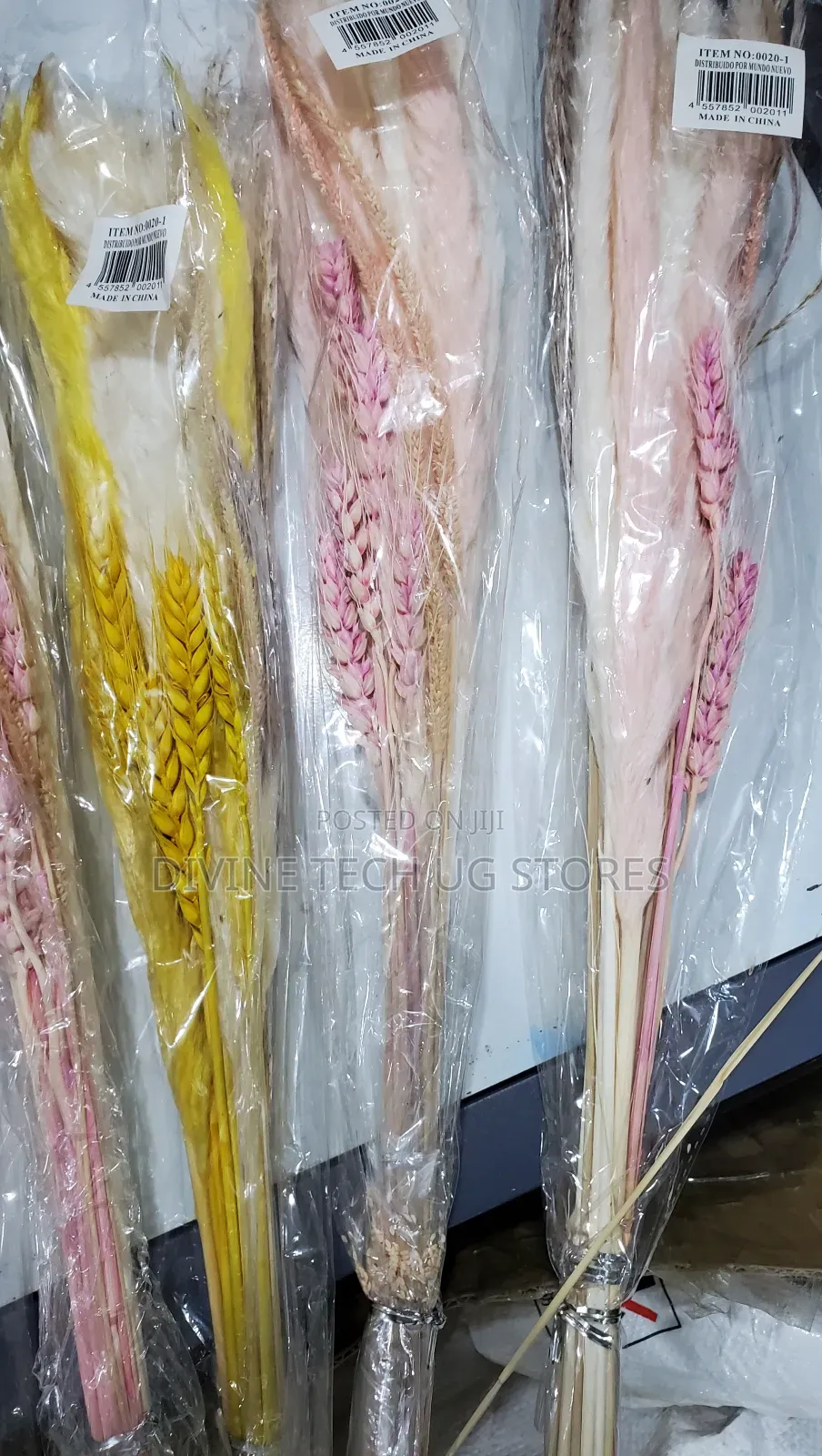 Fluffy Pampas Grass Decor ,Stunning Decoration- Abatch