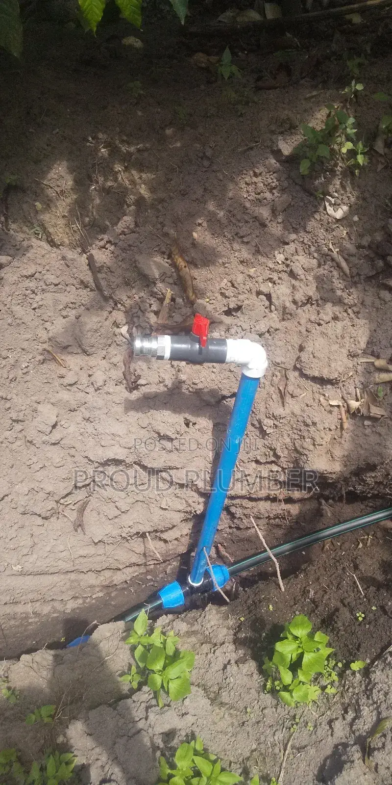 Plumbing Services Irrigation