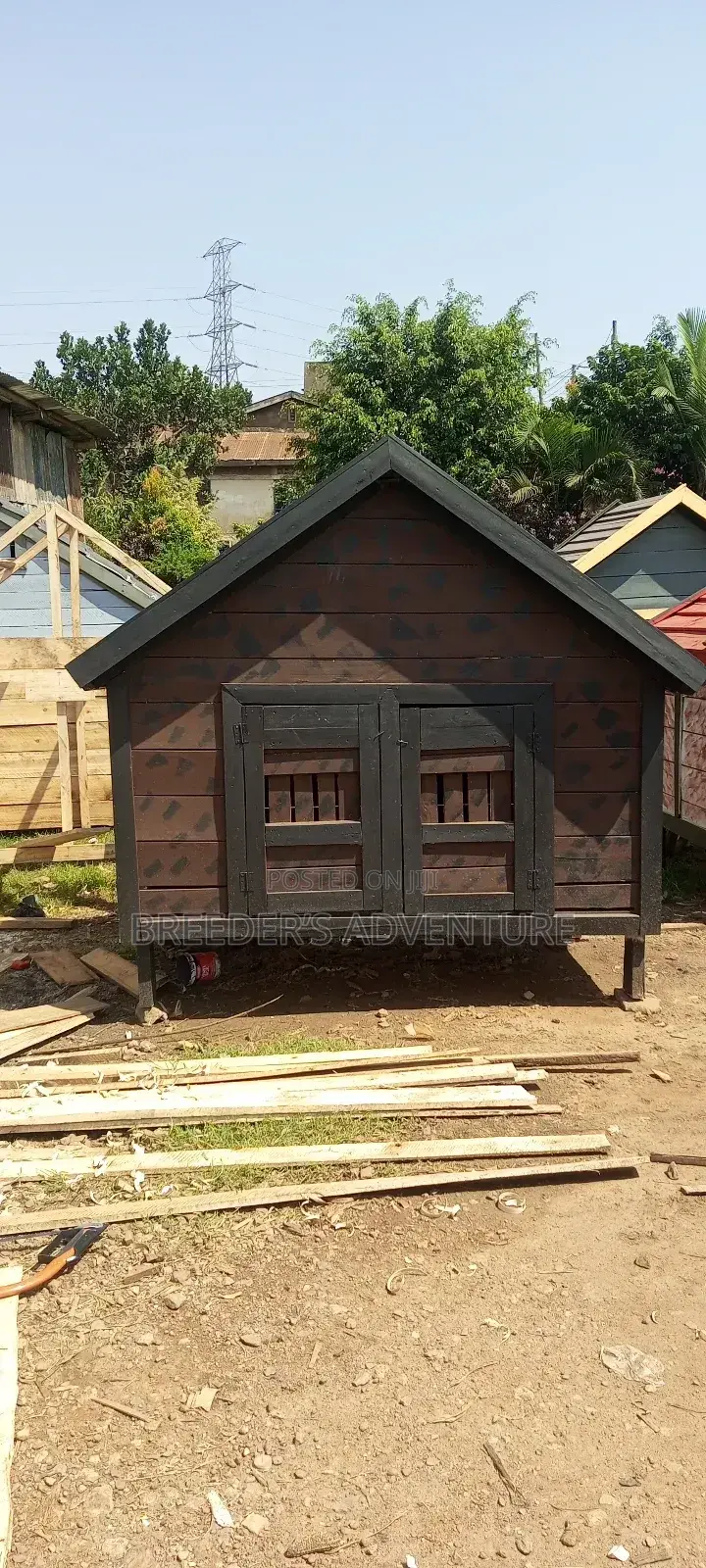 Dogs Kennel D