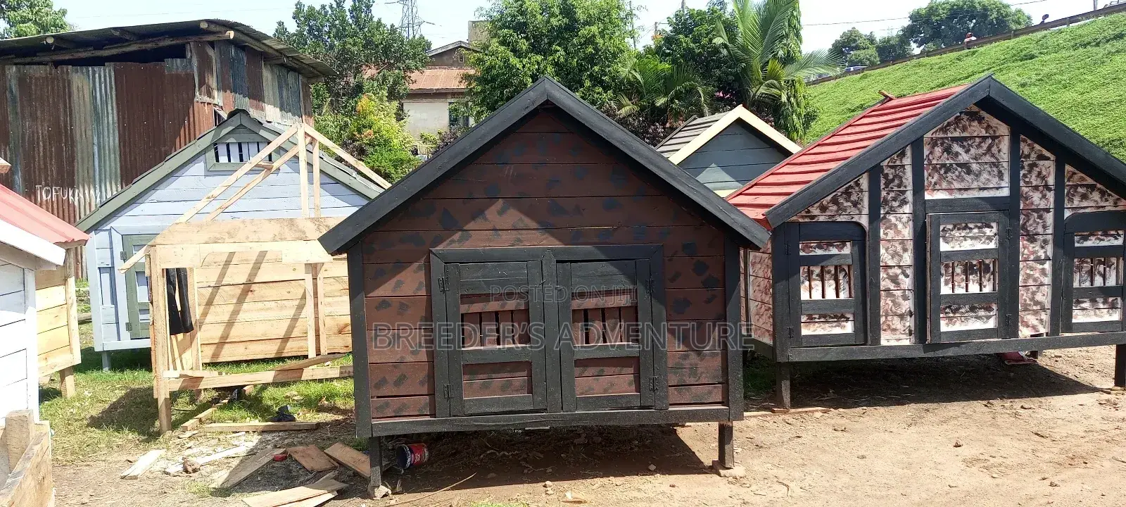 Dogs Kennel D