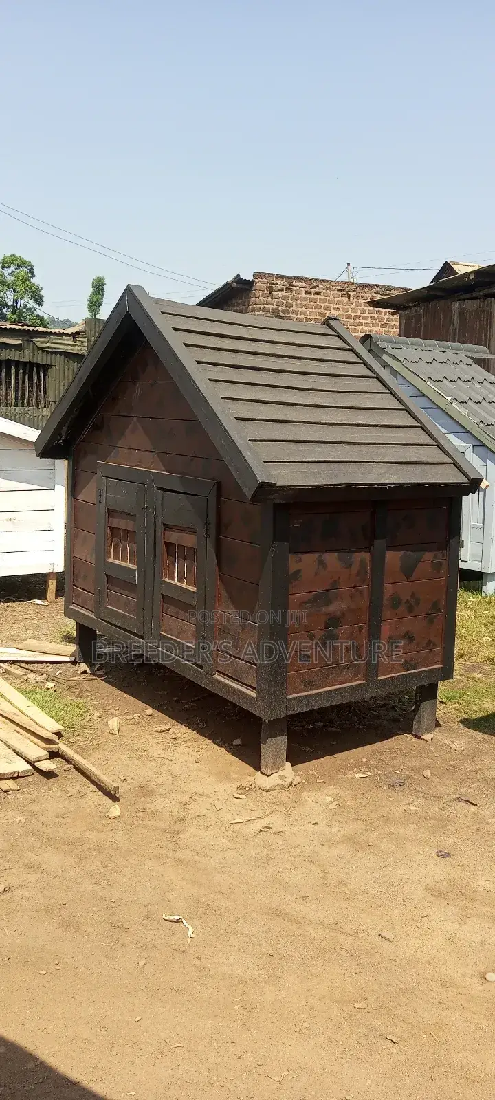 Dogs Kennel D