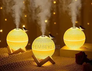 Humidifier With a Bamboo Stand