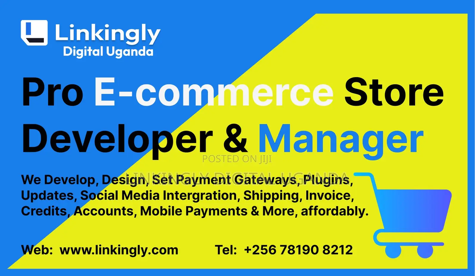 E-Commerce Store Design Specialist, I Know E-Commerce Better