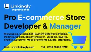 E-Commerce Store Design Specialist, I Know E-Commerce Better