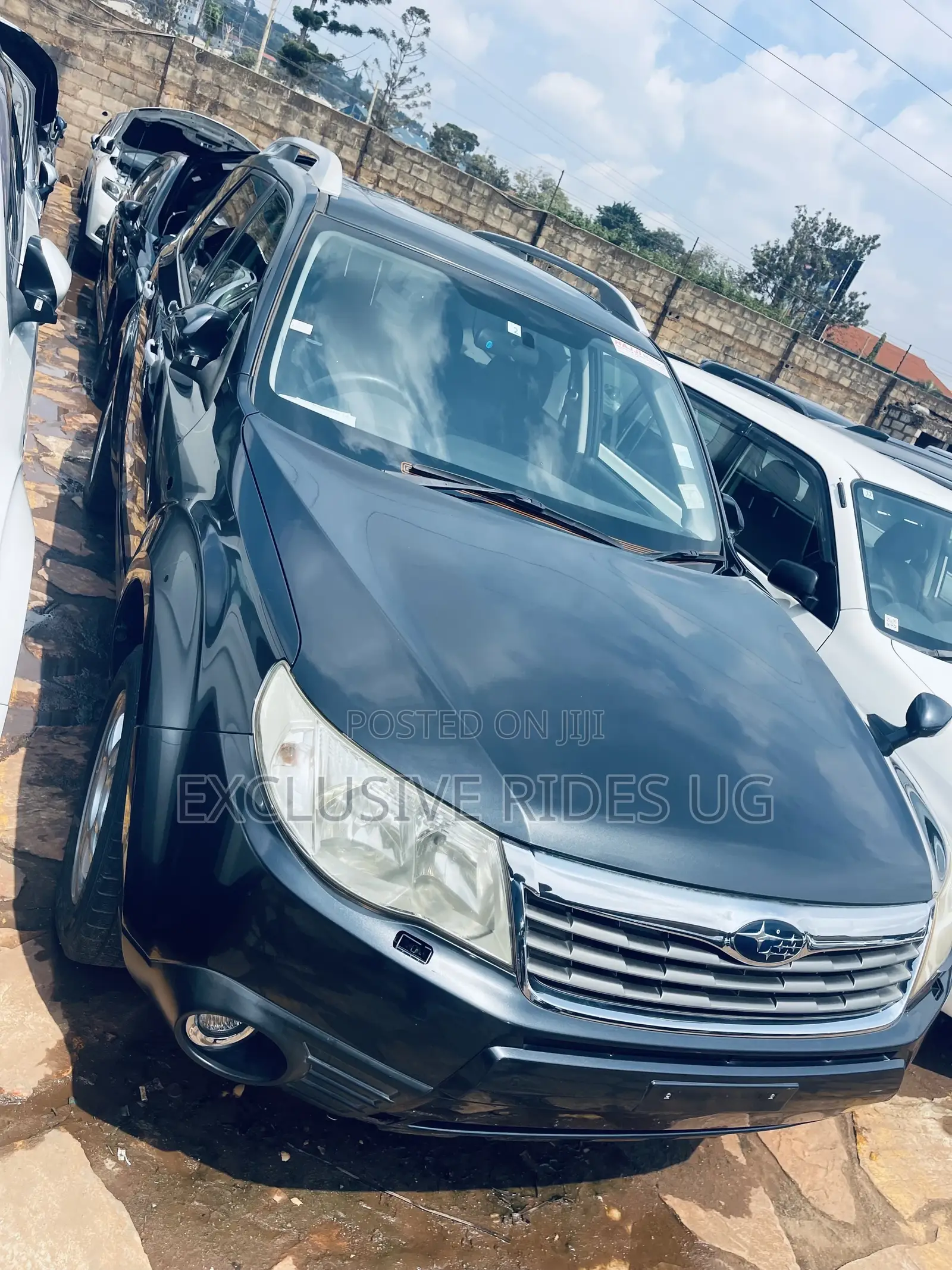 Subaru Forester 2011 Gray