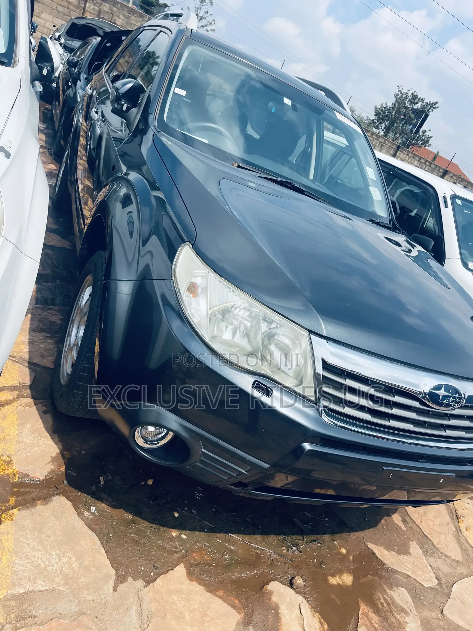Subaru Forester 2011 Gray