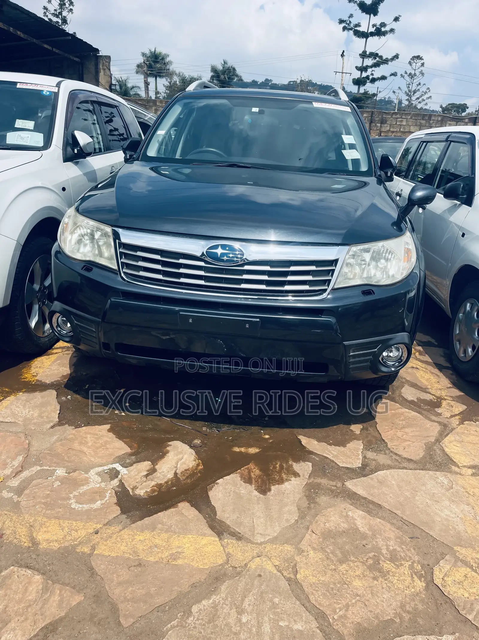 Subaru Forester 2011 Gray