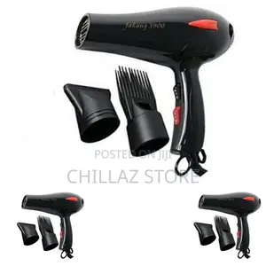 Electric Hair Dryer