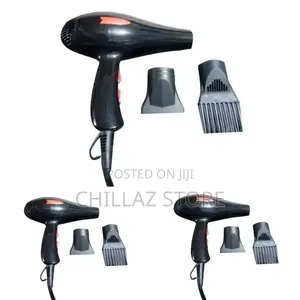 Electric Hair Dryer