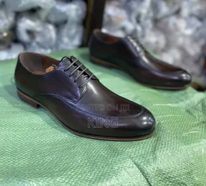Adonis Clarks Premium Leather Shoes