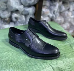 Hero Clarks Premium Leather Shoes