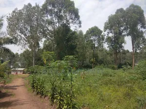 50 by 50 Land /Plots for