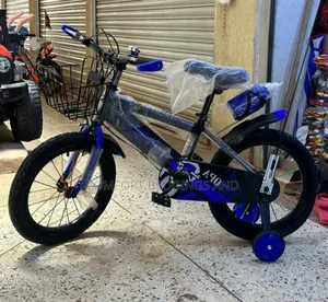 Kids Bicycle Blue
