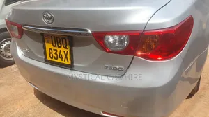 Tours Car Rental and Self Drive