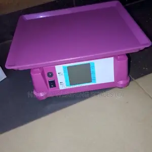 Best Price Electronic Weighing Scale Portable Weigh 40kg Weigh Scale