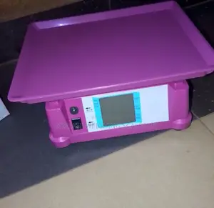 Portable Weighing Scale Shop Price Weigh 40kg Portable Weighing Scale