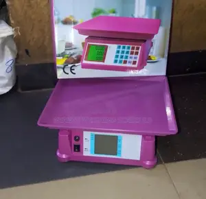 TCS/Acs Tabletop Weigh Scale Accurate Weigh Portable Weighing Scale