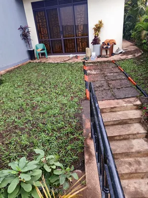 Natural Paspalum Grass and Compound Designing