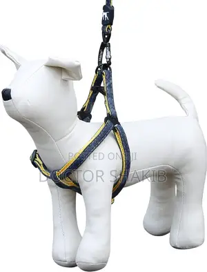 Adjustable Dog Harness Set With Leash