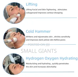 H2O Small Bubble Skin Care Device
