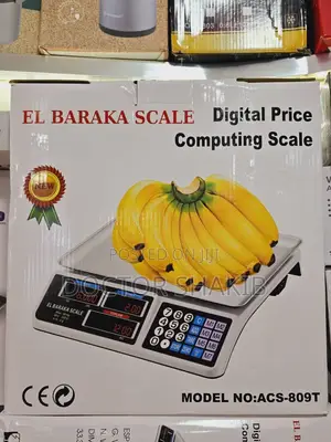 ACS 809T Digital Price Computing Scale