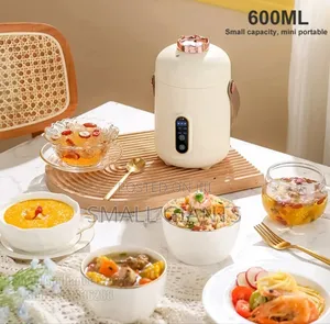 New Mini Multifunction Electric Cooker 600ML