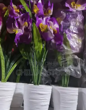 Plastic Plants