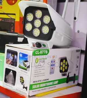 Electric Solar Street Lamp