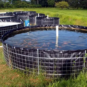 Biofloc Fish Farming PVC Tank