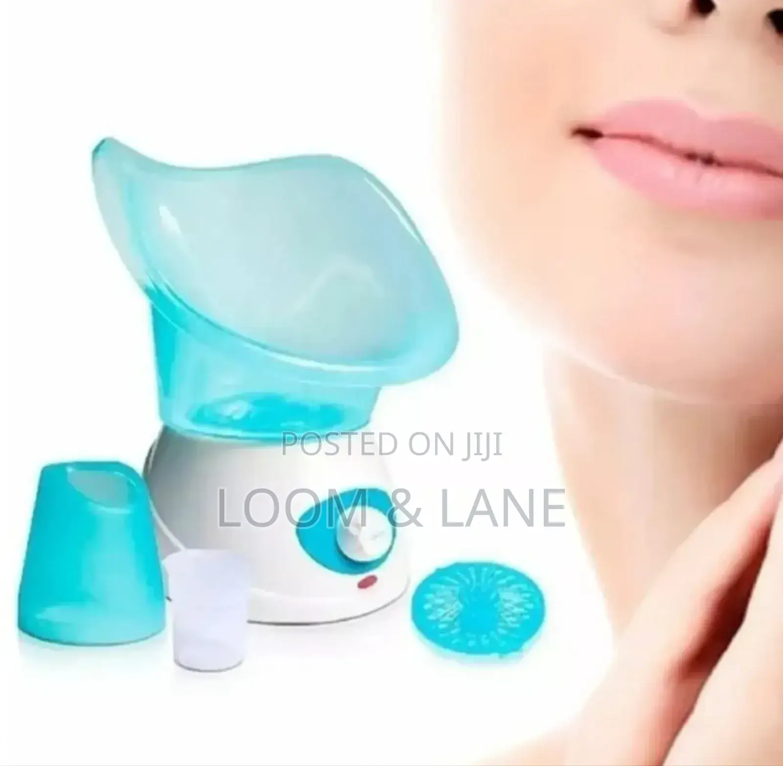 Sauna Facial Moisturizer Steamer