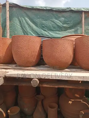 Pots of Nature (Flower Pots)
