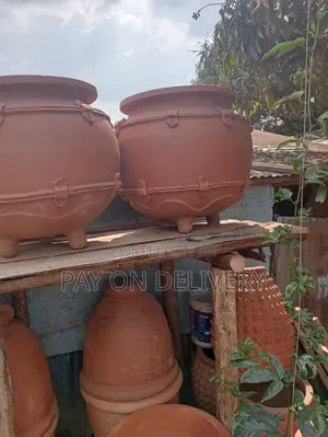 The Next (Flower Pots)