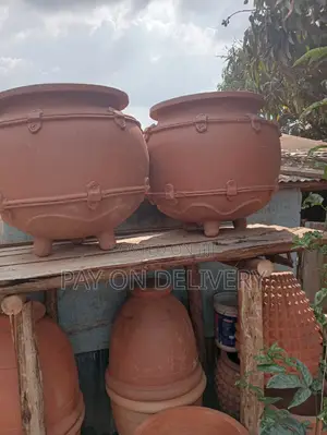 The Next (Flower Pots)