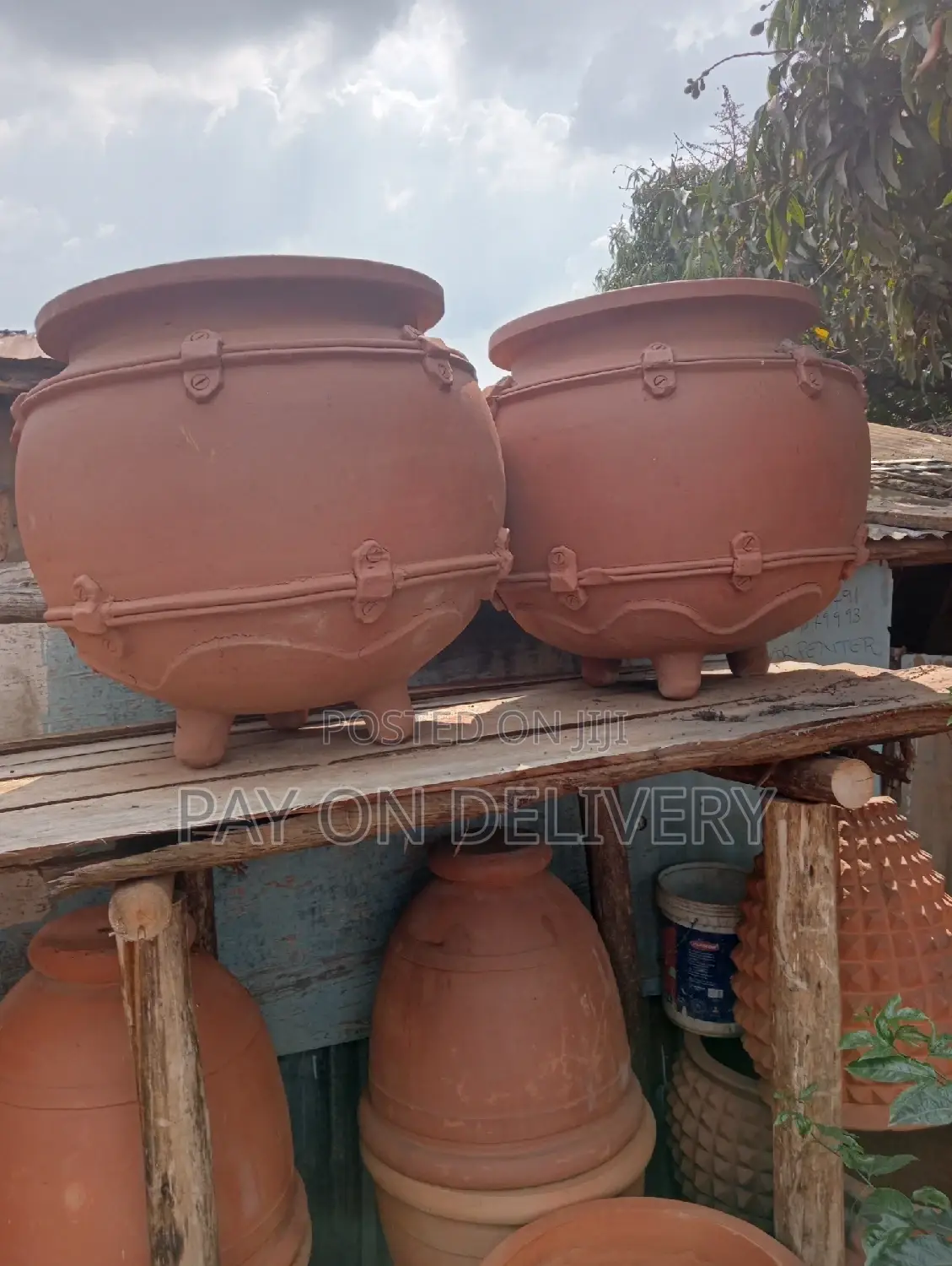 The Next (Flower Pots)
