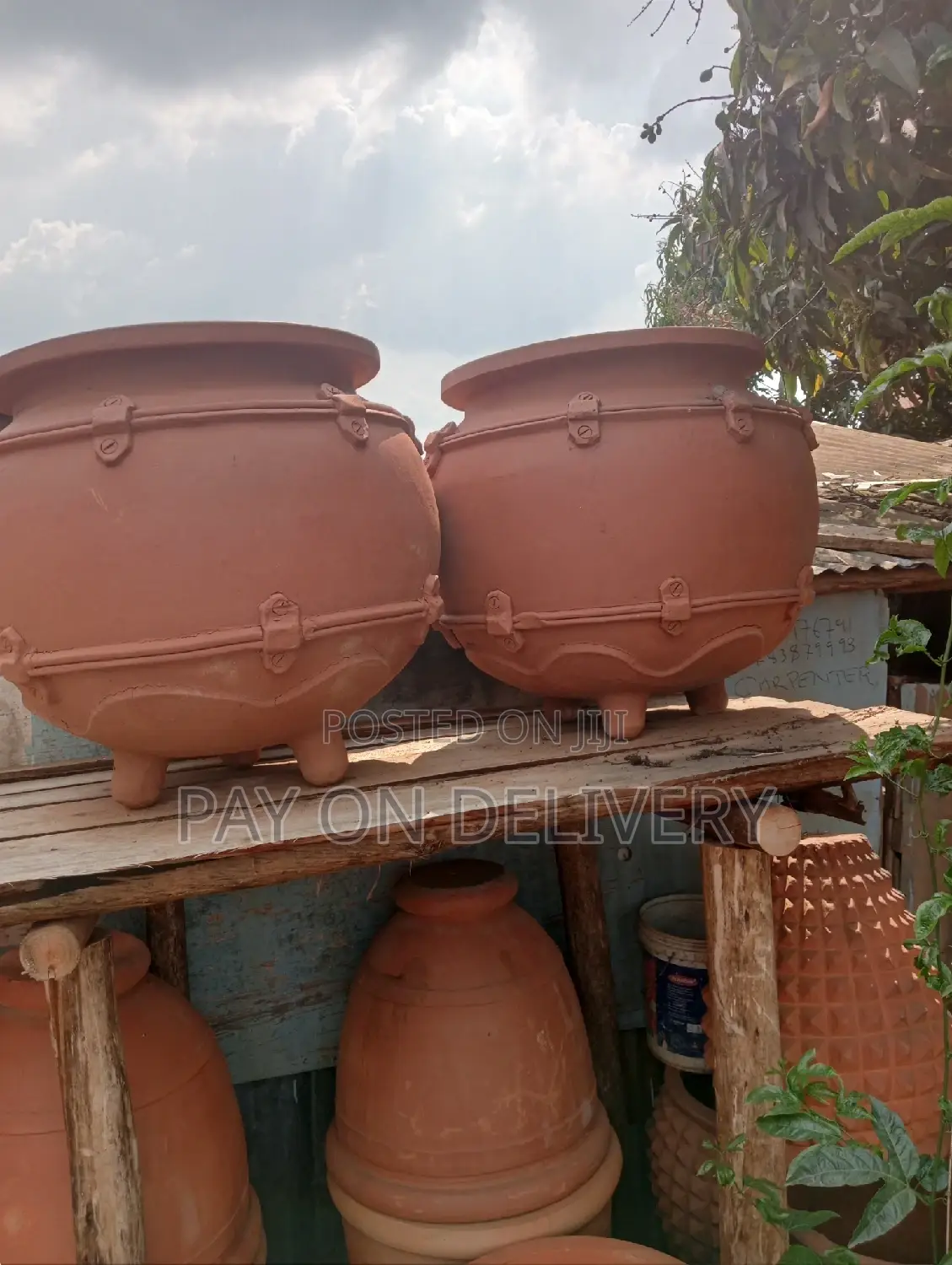 The Next (Flower Pots)