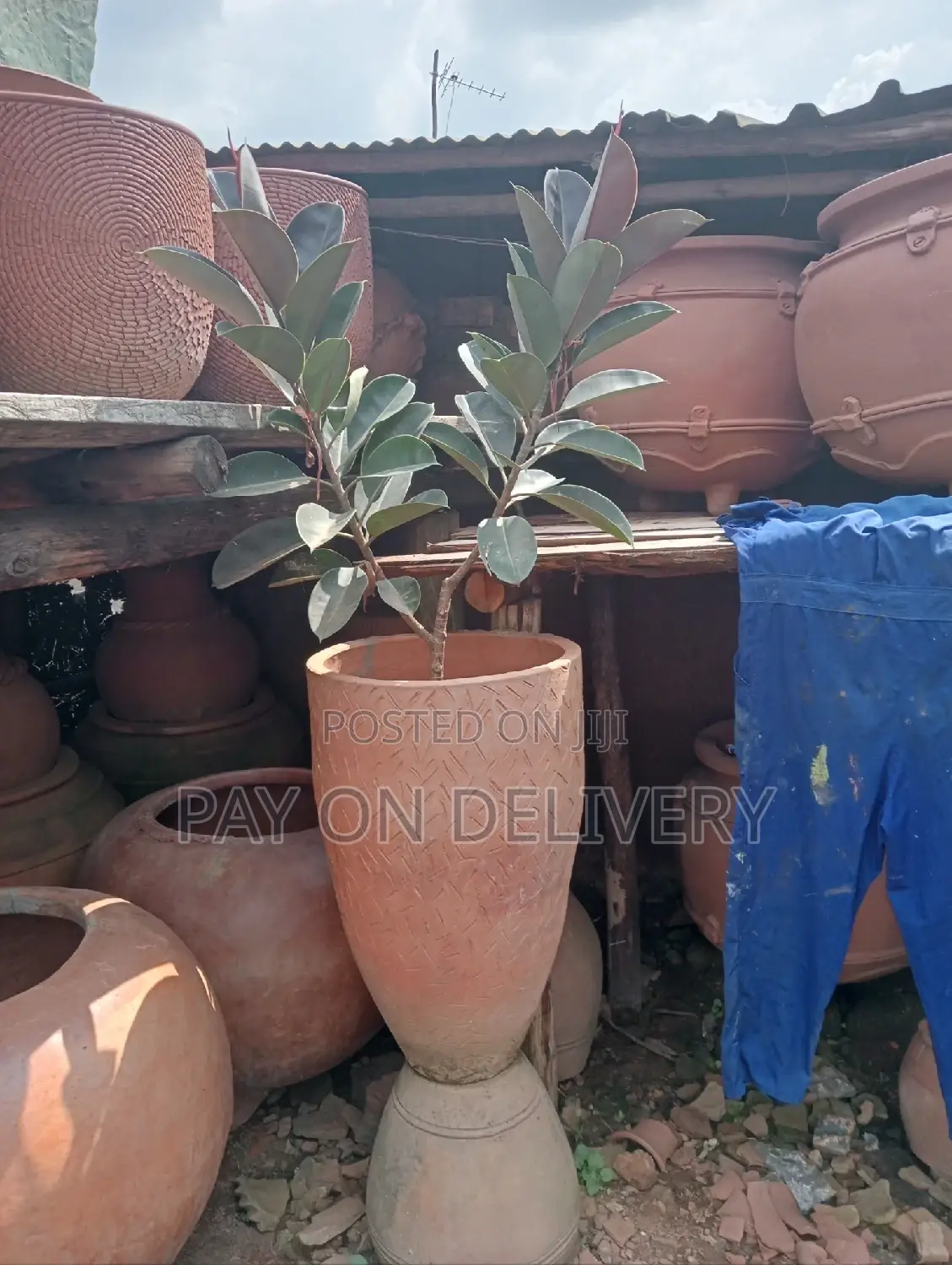 The Next (Flower Pots)