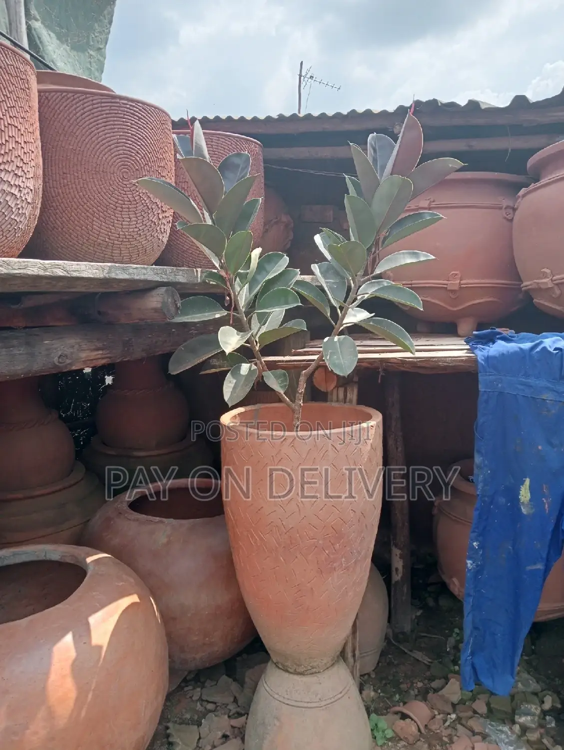 The Next (Flower Pots)