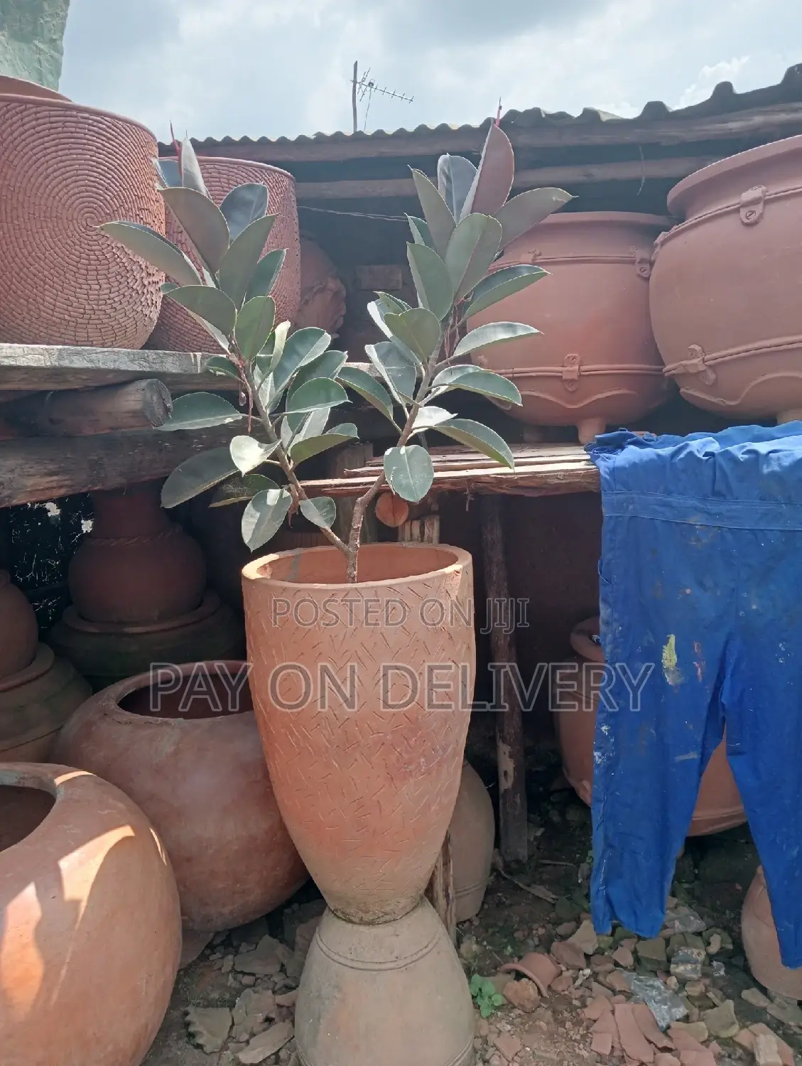 The Next (Flower Pots)