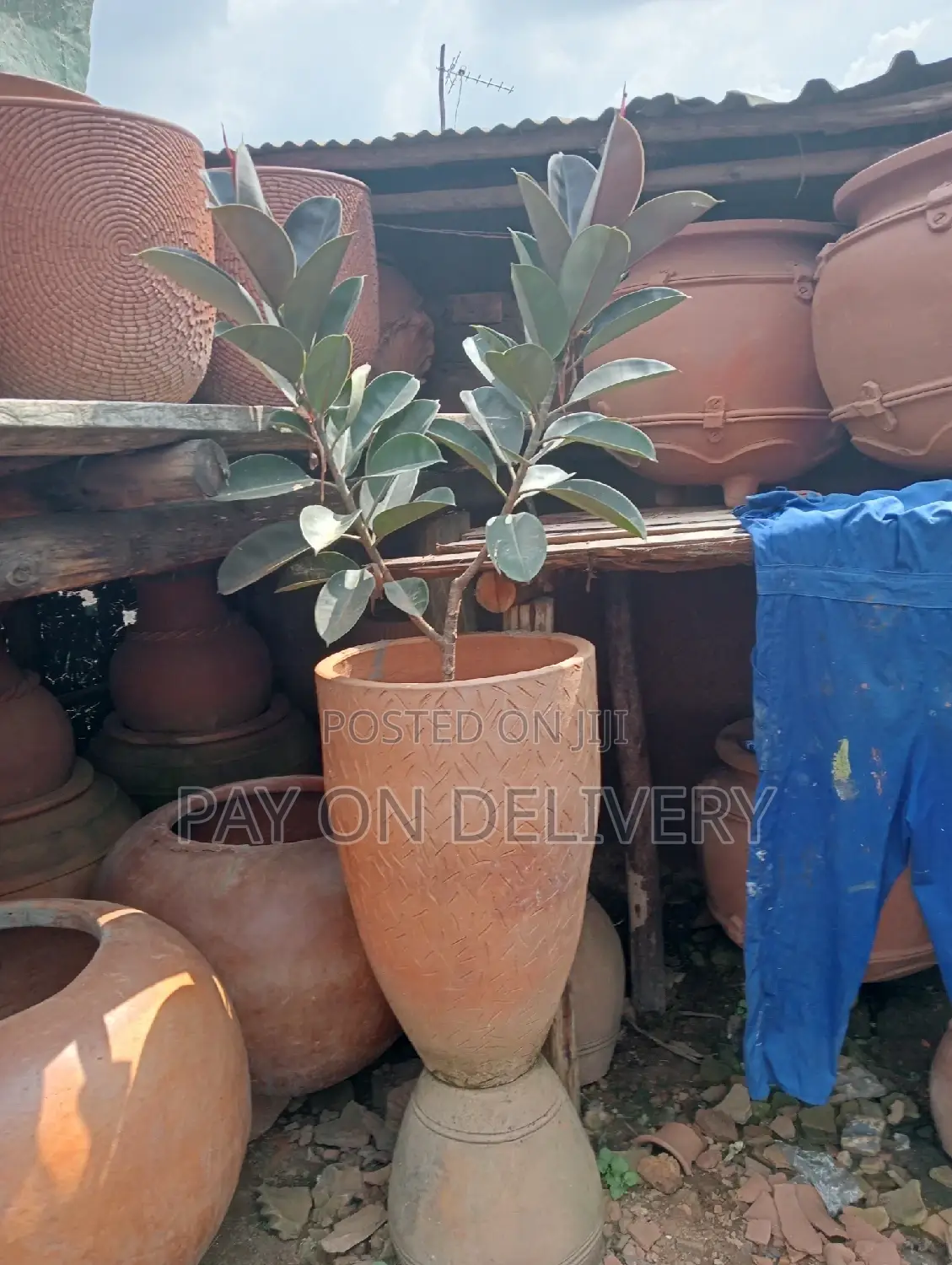 The Next (Flower Pots)