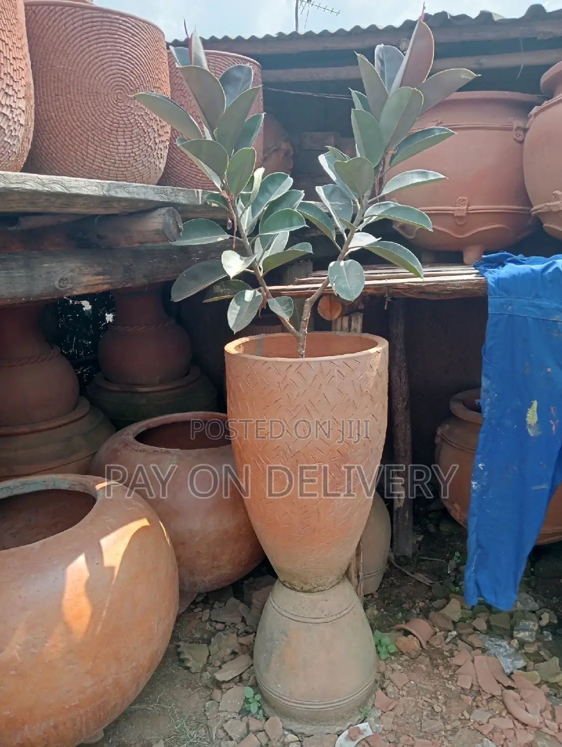 The Next (Flower Pots)