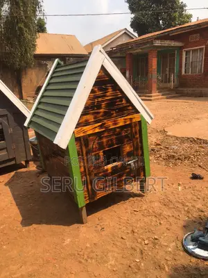 Green and White Dog House